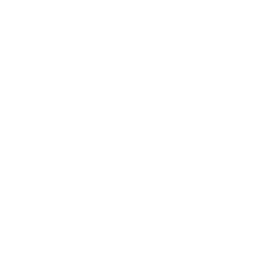 Rubicon Irons logo